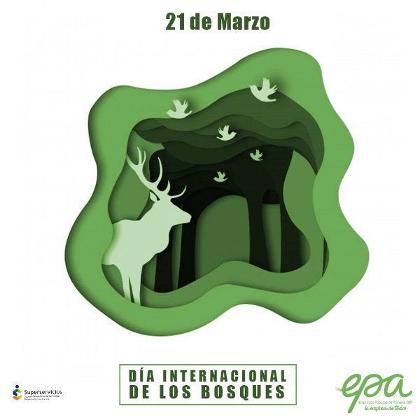dia internacional de los bosques